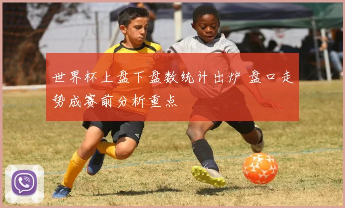 世界杯上盘下盘数统计出炉 盘口走势成赛前分析重点