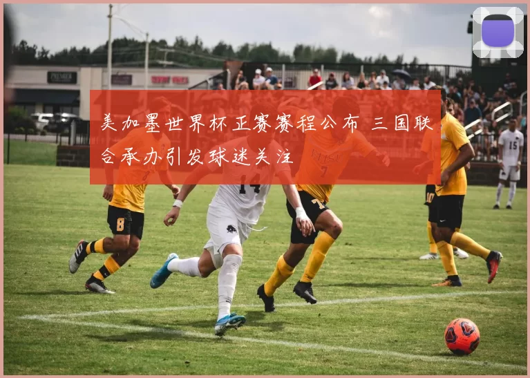 美加墨世界杯正赛赛程公布 三国联合承办引发球迷关注