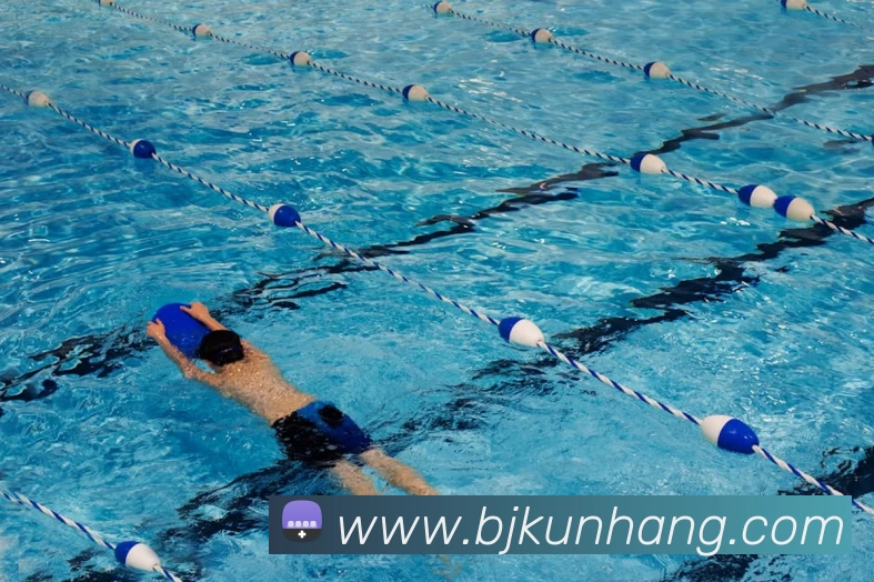 App Interface Preview